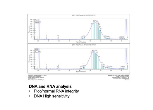 graphical expression of nucleic acid analysis